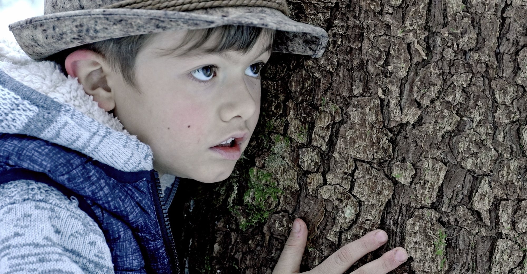 Erto — a boy listening to a tree