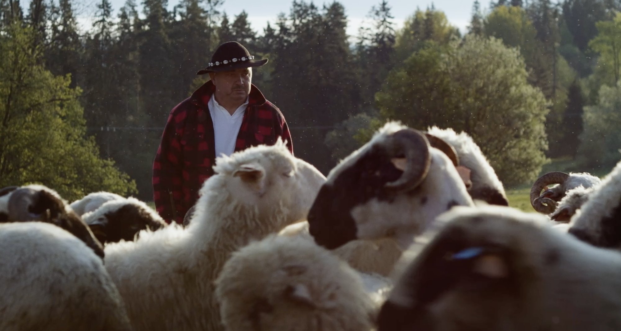 Food Markets — a shepherd with his flock
